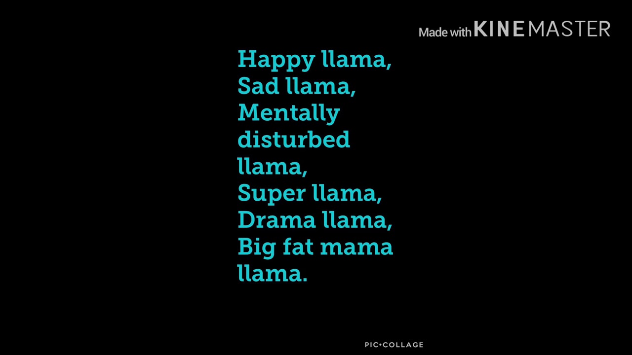 Llama In My Living Room Song Lyrics